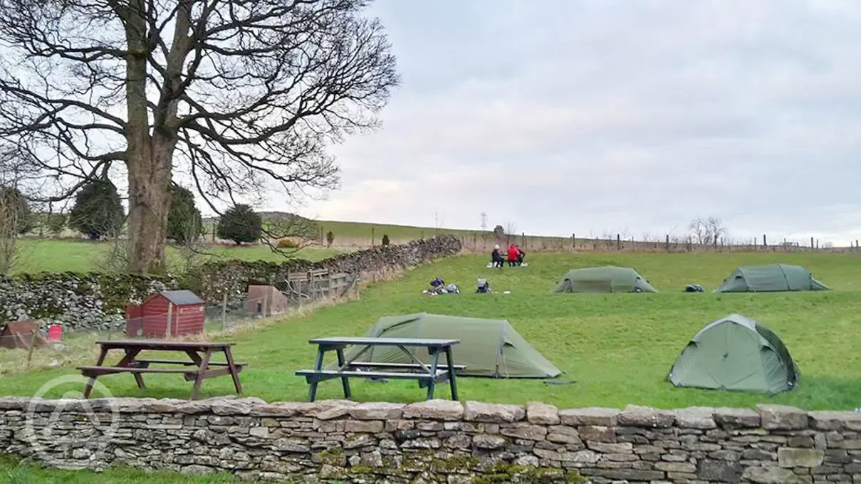 Tent camping at New Ing Lodge