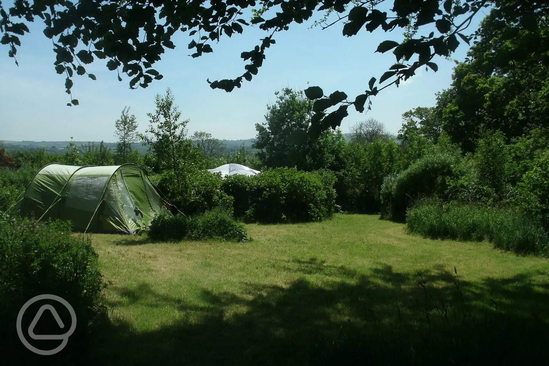 Secluded tent pitches, with hedges and wild life areas 