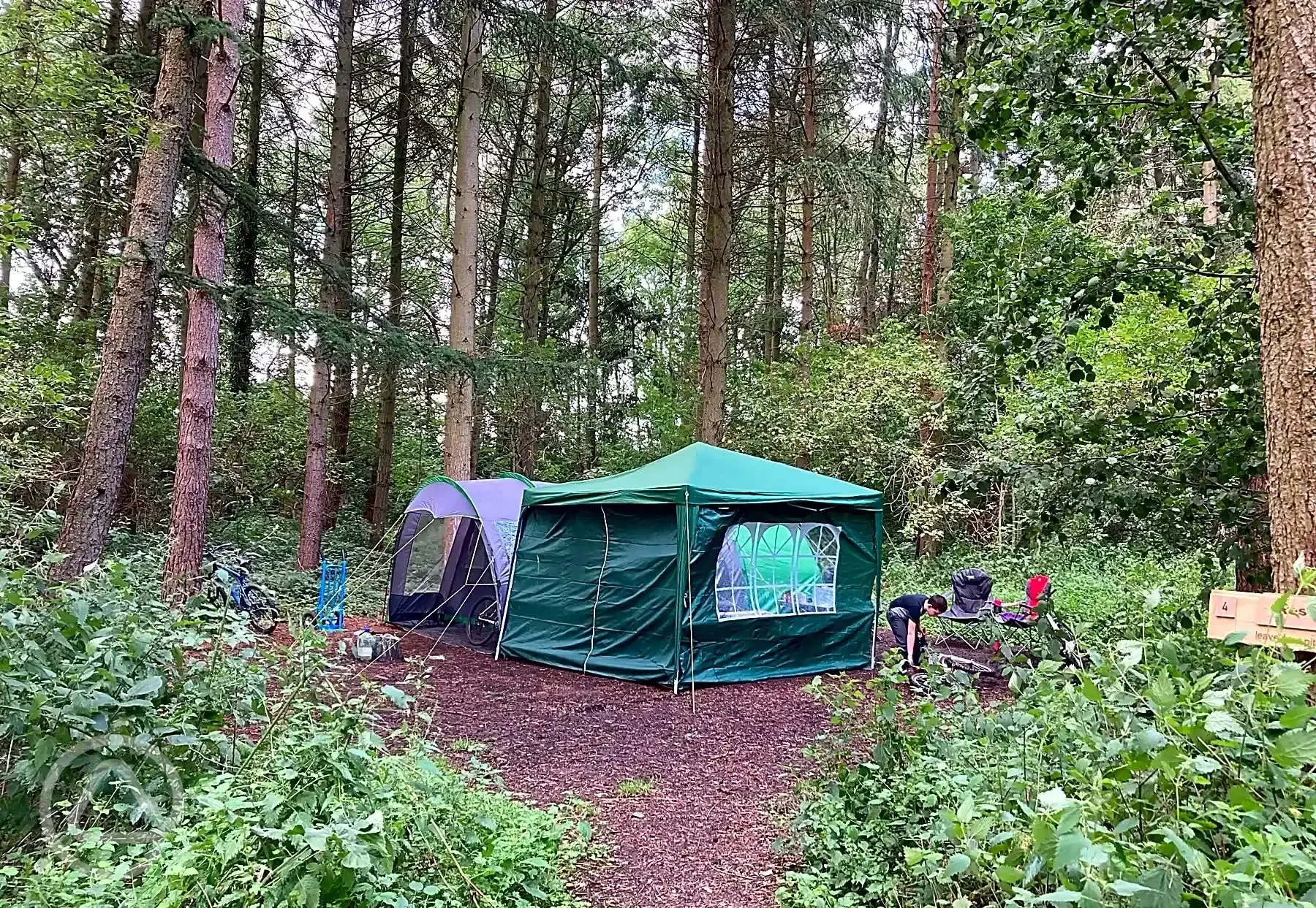 Non electric forest floor pitches