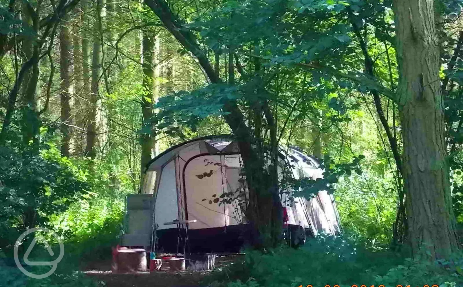 Wild woodland camping