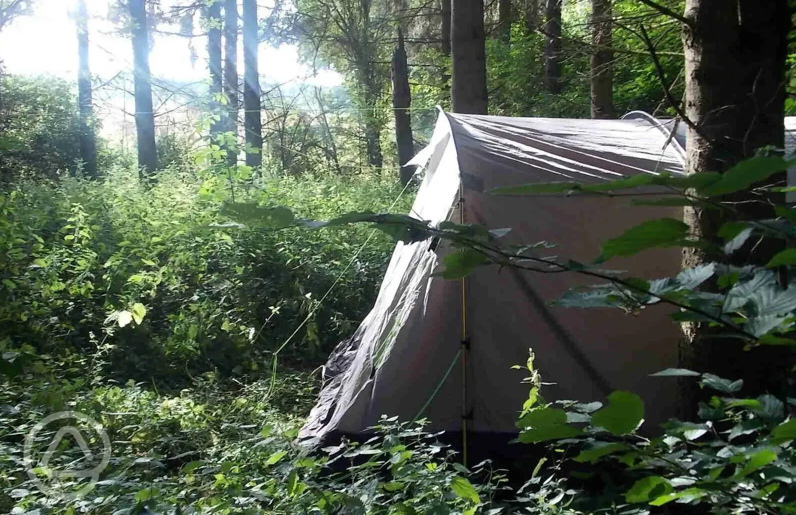 Secluded tent pitch