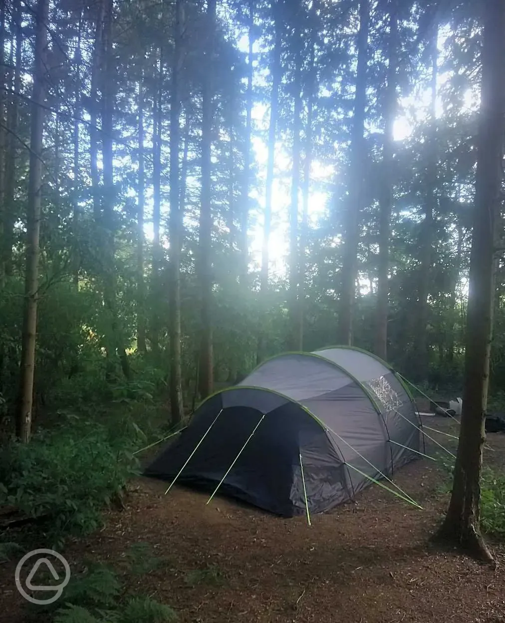 Non electric forest floor pitches