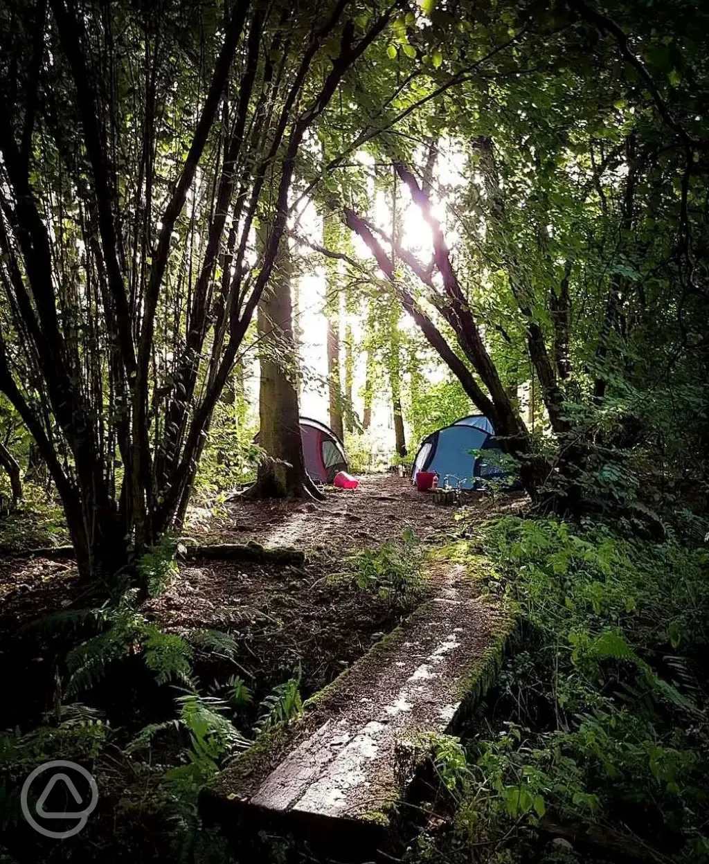 Non electric forest floor pitches