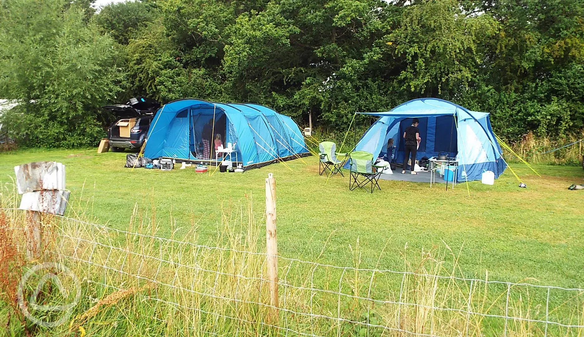 Meadow non electric grass pitches