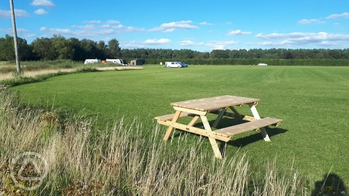 Picnic