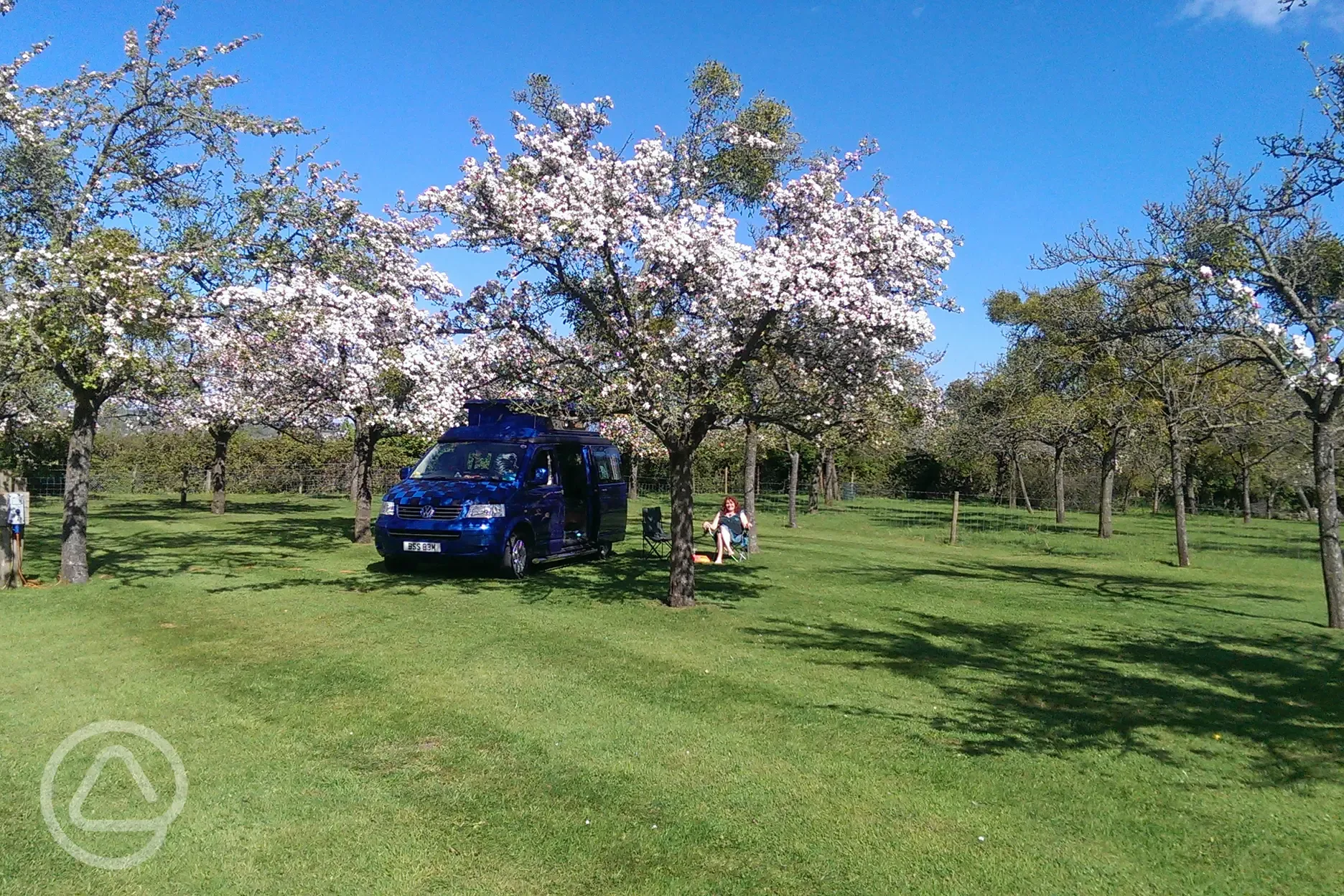 Campervans can go under the shade of the Orchard Trees