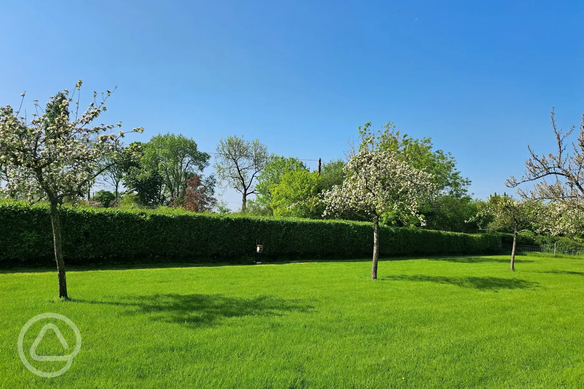 Electric grass pitches