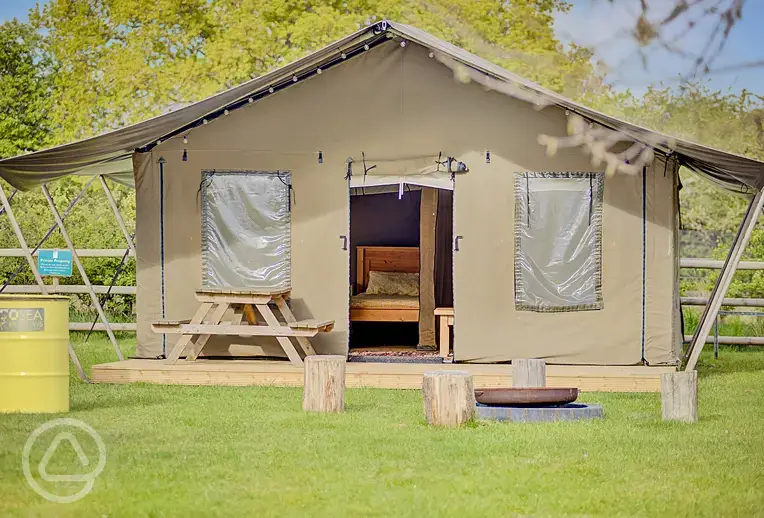 Safari tent 