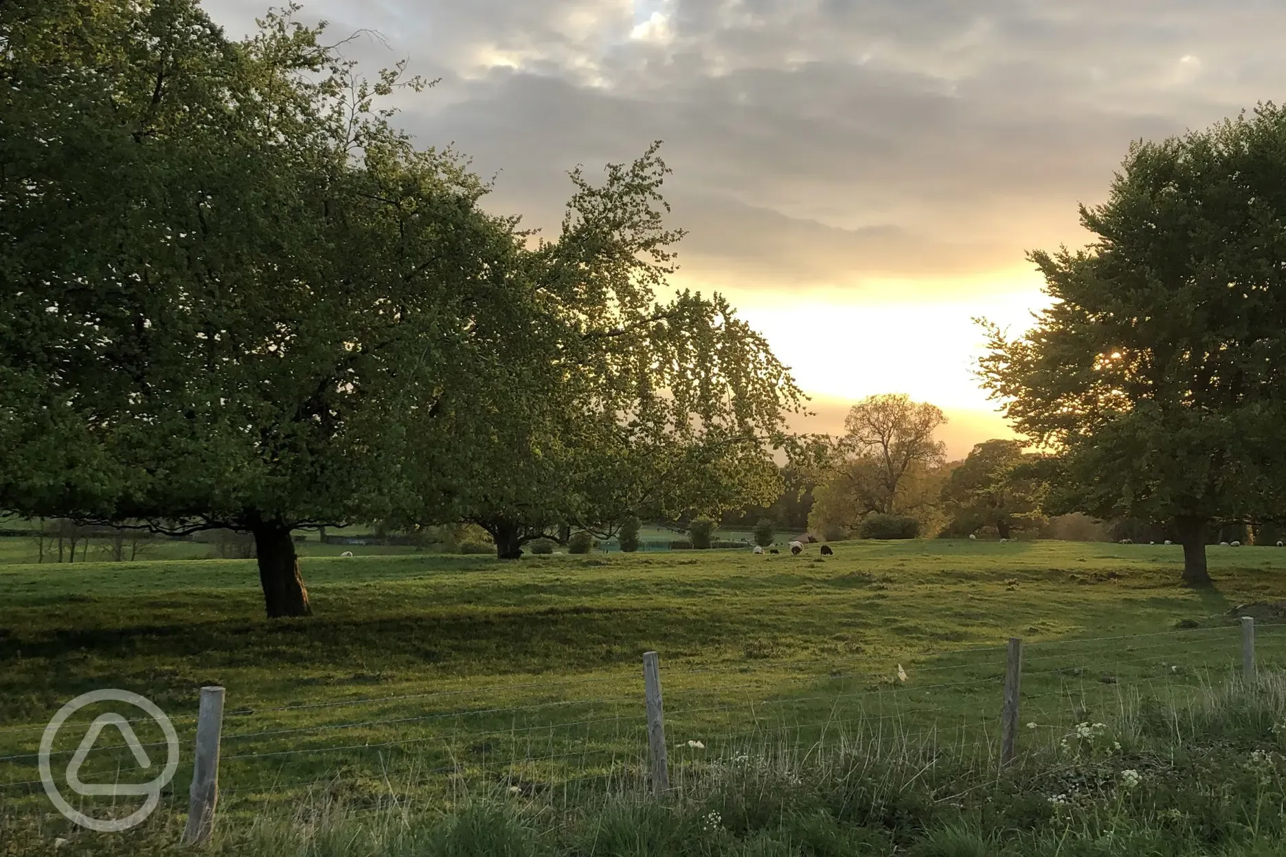 Beauty Of The Countryside