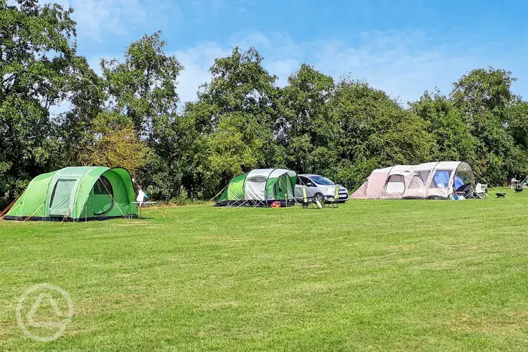 Non electric grass pitches