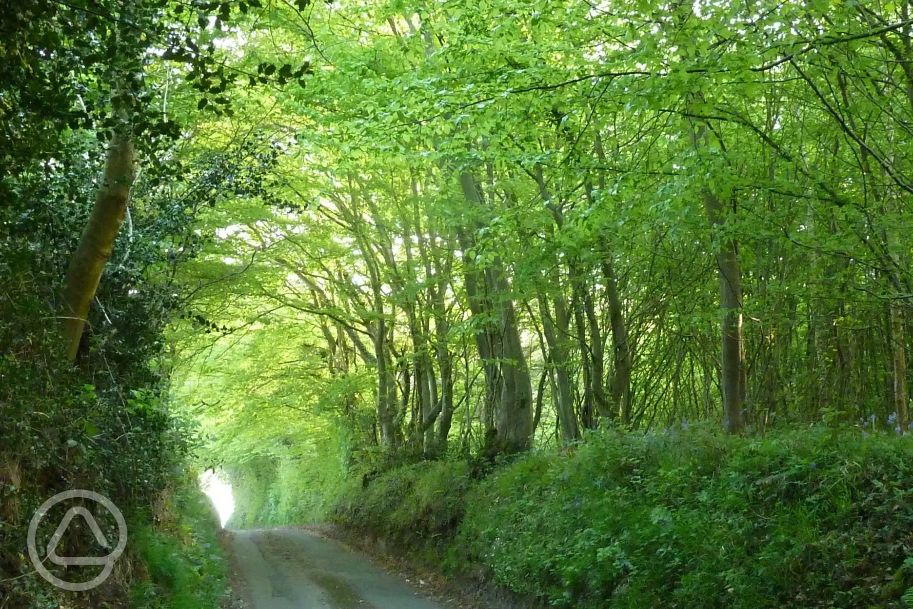 Nearby country lane