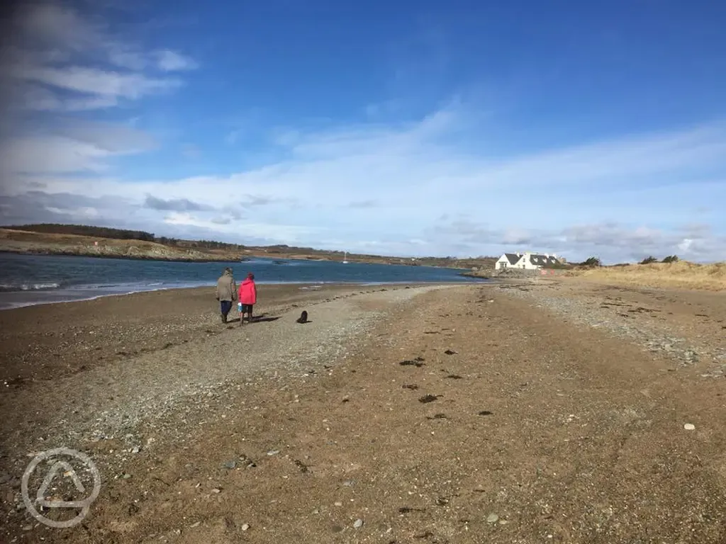 Dog friendly beaches anglesey