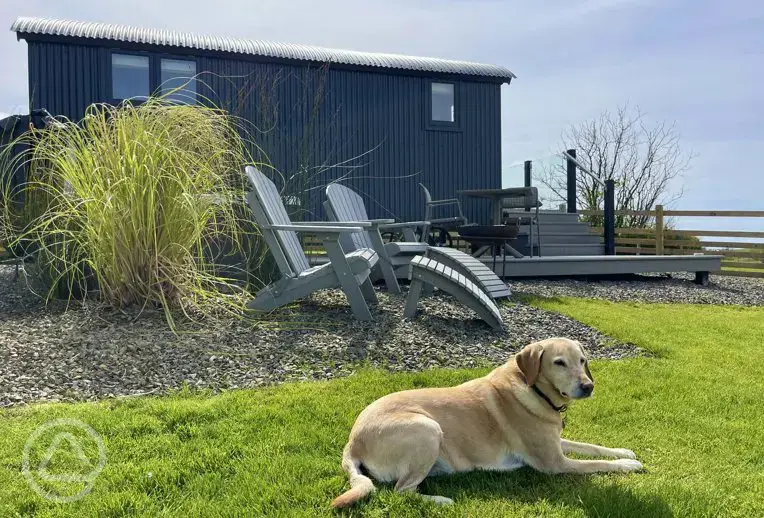 Dog friendly