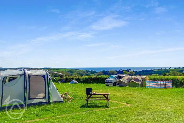 Non electric grass pitches