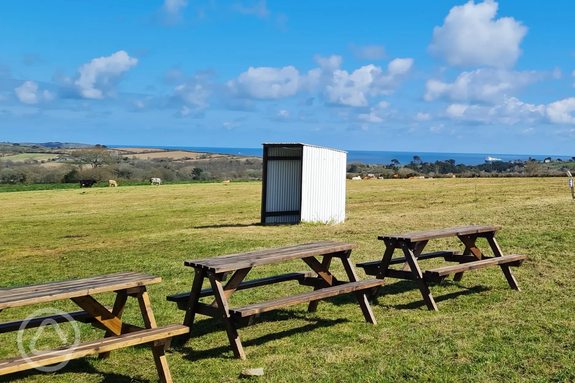 Non electric grass pitches with Falmouth Bay views and communal picnic benches