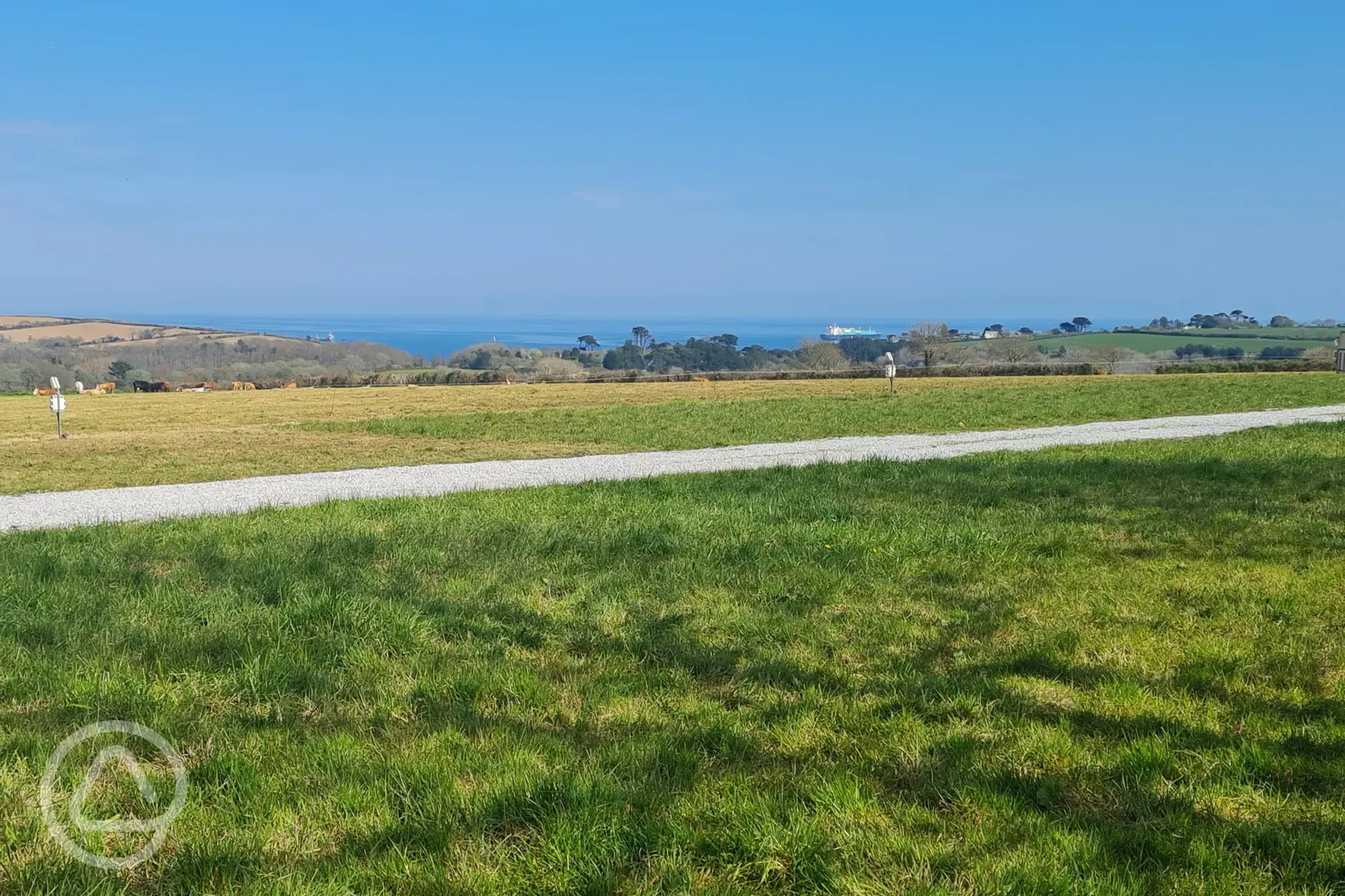 Electric grass pitches overlooking Falmouth Bay (16 amp hook up)