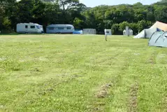 Electric grass pitches