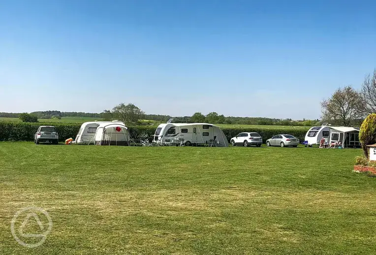 Grass pitches with optional electric 