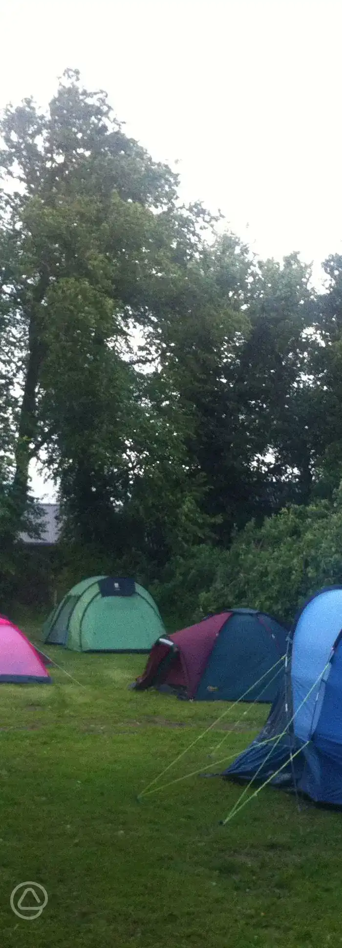 Pillars of Hercules Organic Farm in Falkland, Fife