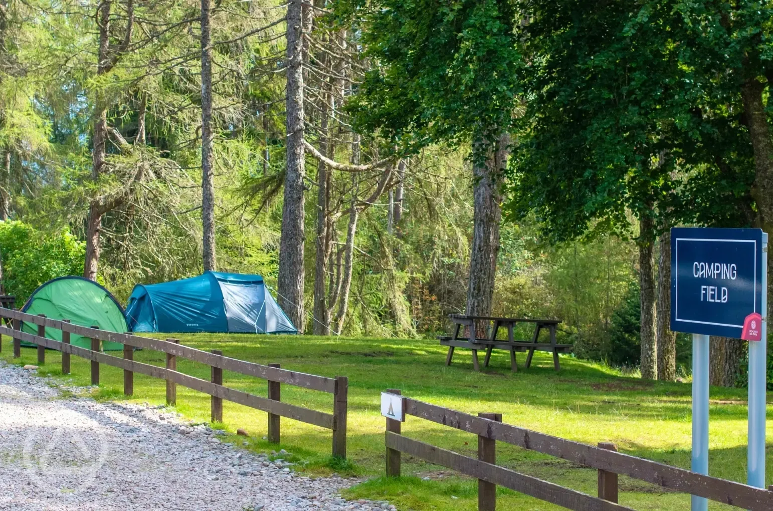 Non electric grass tent pitches with picnic benches nearby
