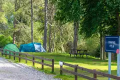 Non electric grass tent pitches with picnic benches nearby