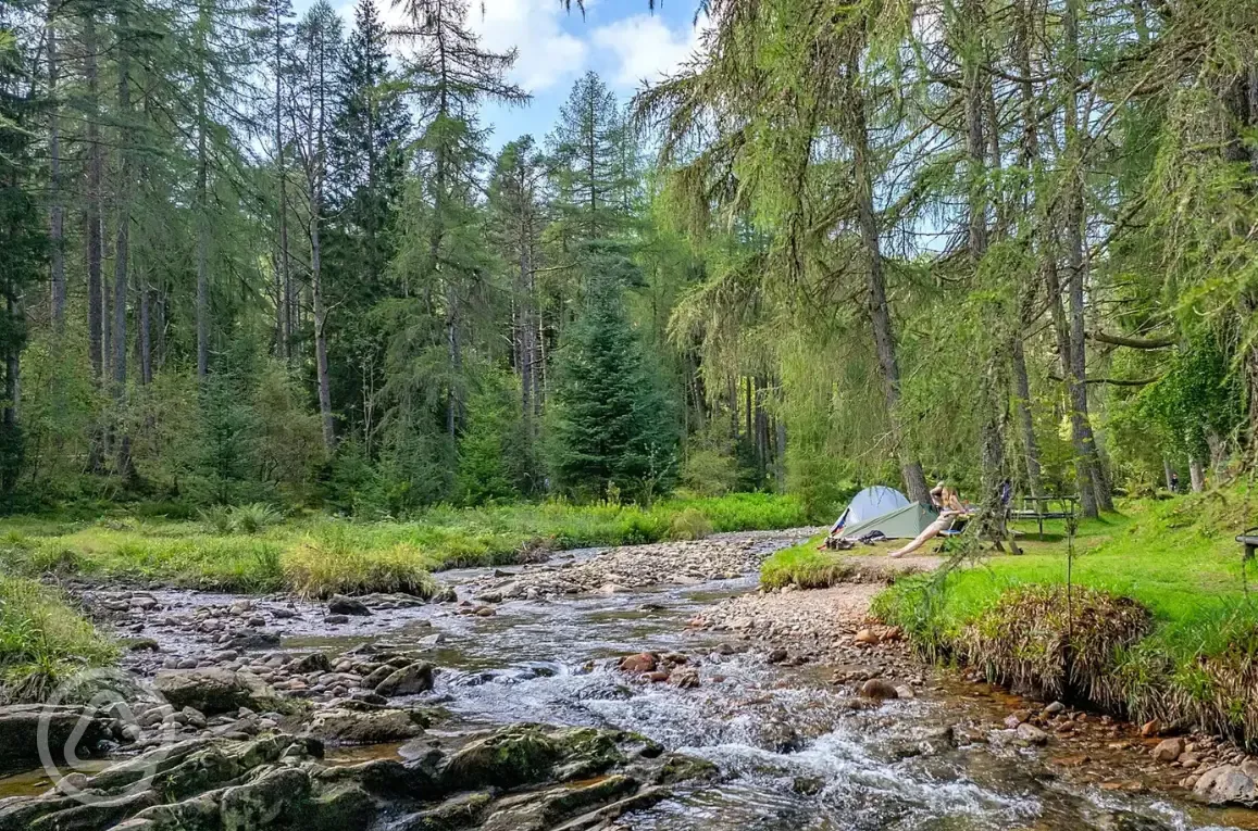 By the river