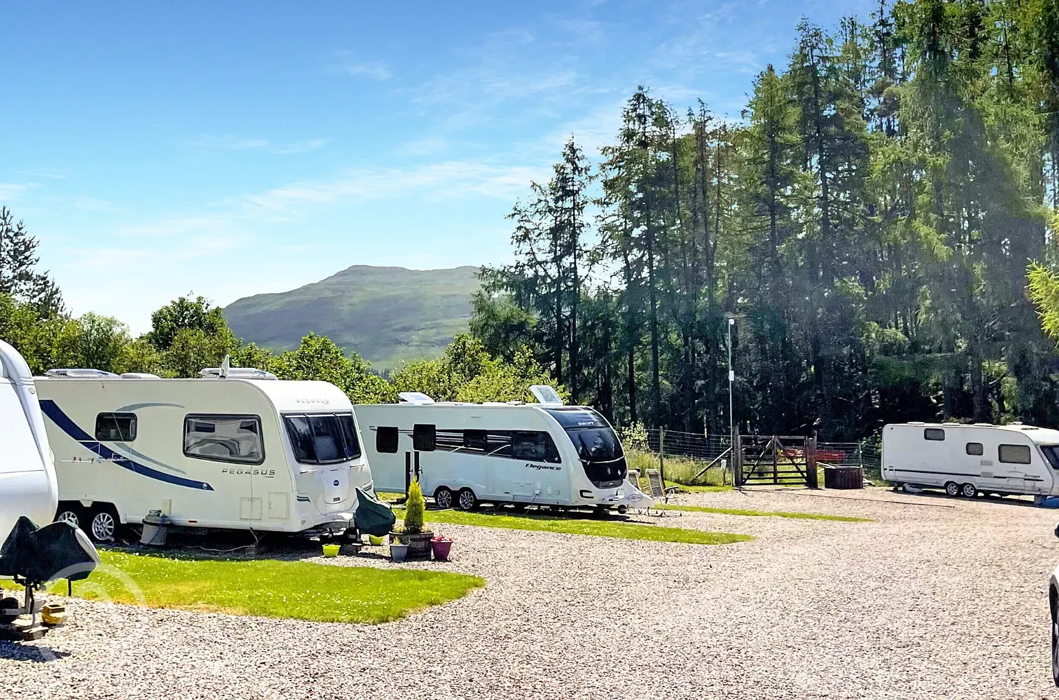 Fully serviced hardstanding touring pitches surrounded by trees