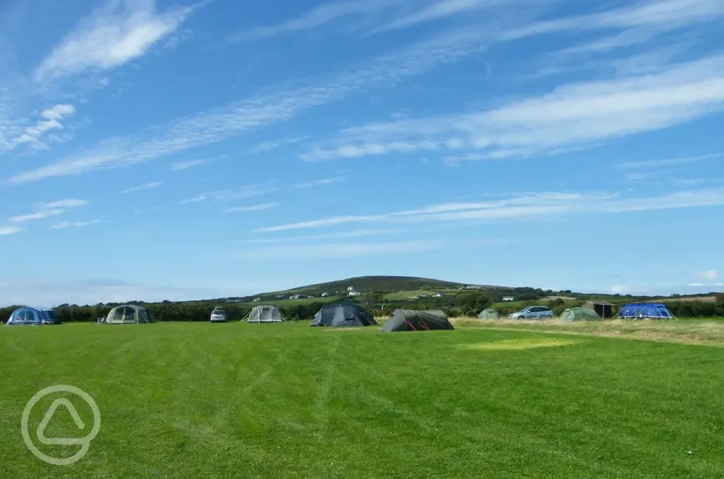 Grass pitches