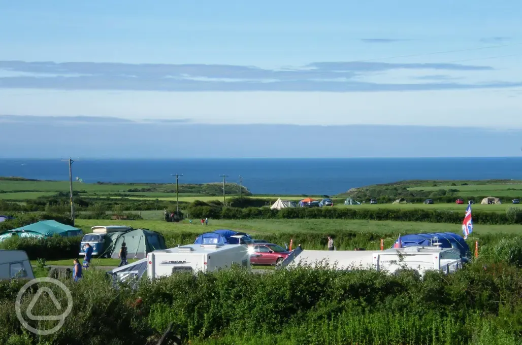 Grass pitches