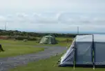 Optional electric grass pitches