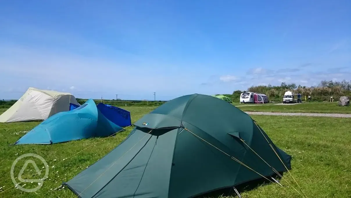 Non electric grass pitches