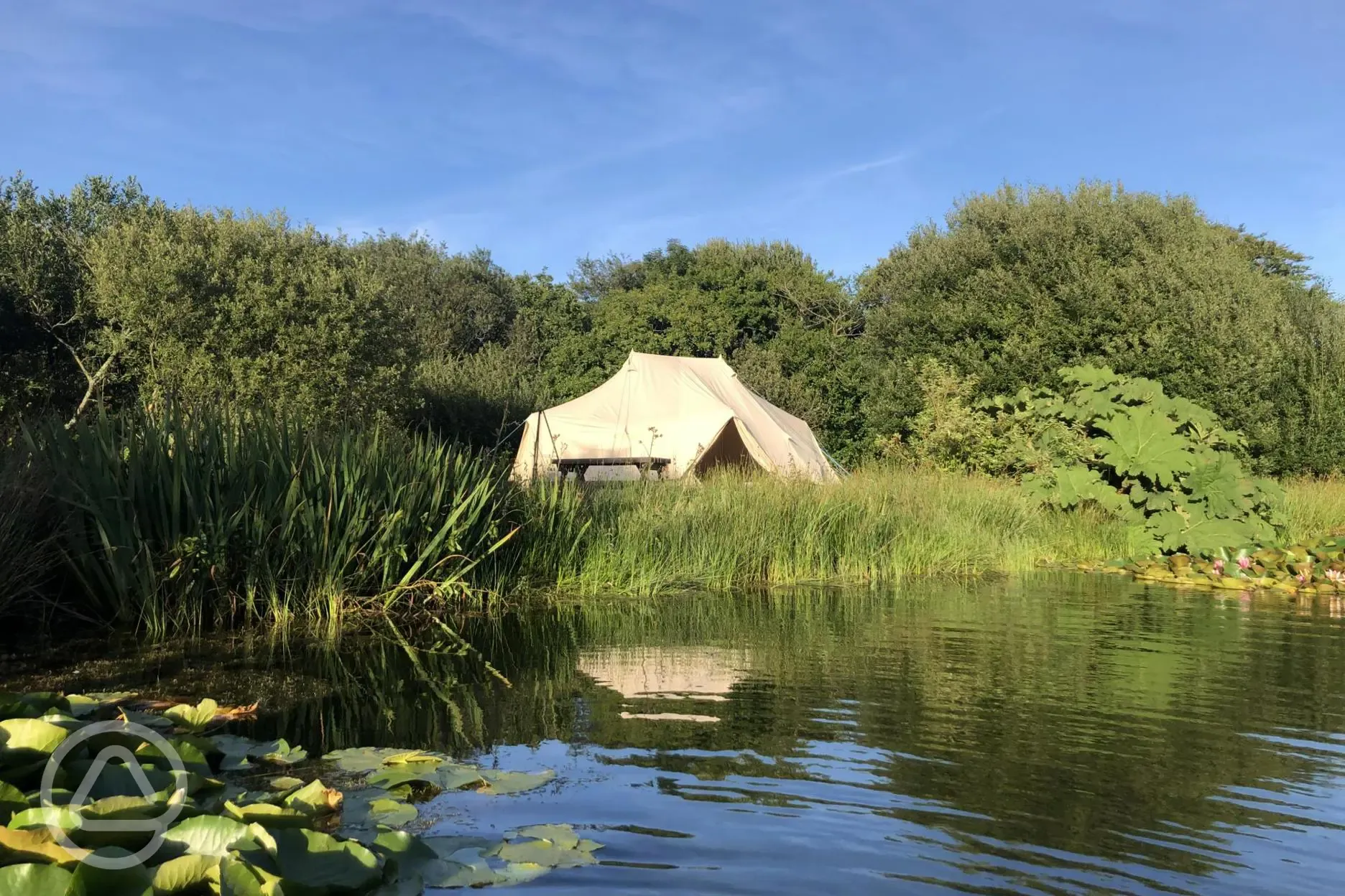 Lily Pad bell tent 