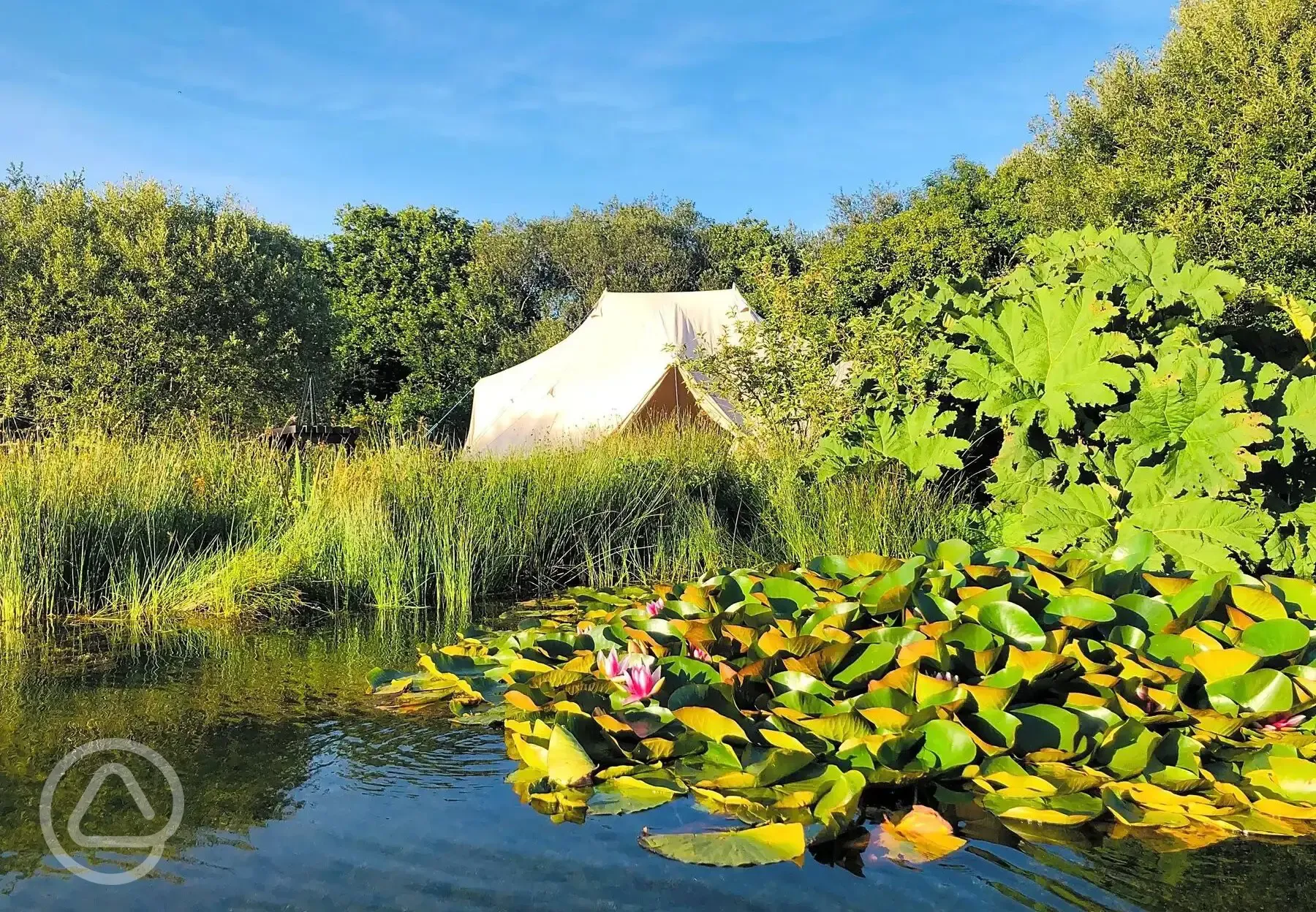 Lily Pad bell tent