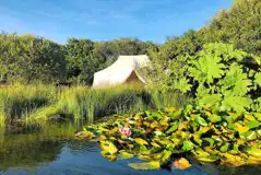 Lily Pad emperor bell tent