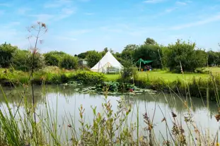 Pleasant Streams Farm Camping, St Austell, Cornwall (9 miles)