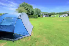 Electric grass pitches for tents, caravans, and campervans Electric grass pitches for tents, caravans, and campervans