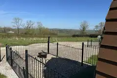 Hazel pod with a dog exercise area Hazel pod with a dog exercise area