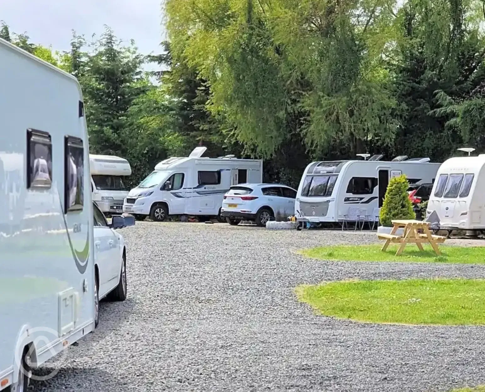 Electric hardstanding pitches with picnic benches