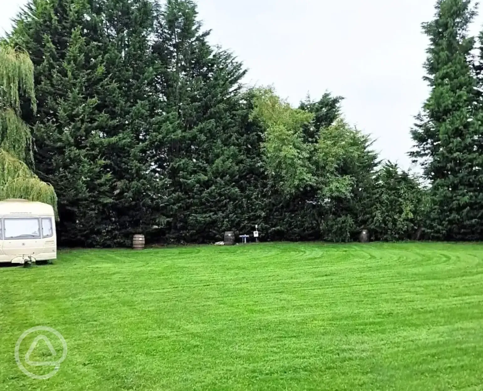 Electric grass tent pitches surrounded by trees