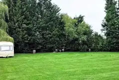 Electric grass tent pitches surrounded by trees