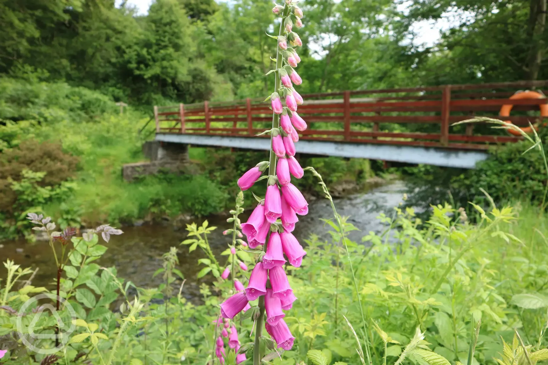 Bridge over the River Leri