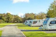 Fully serviced hardstanding pitches backed by trees and hedges