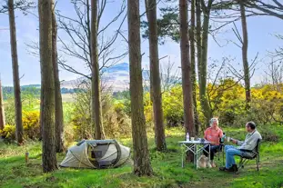 Ruberslaw Wild Woods Camping, Denholm, Hawick, Scottish Borders (10.4 miles)