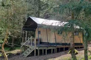 Ruberslaw Wild Woods Camping, Denholm, Hawick, Scottish Borders (10.5 miles)