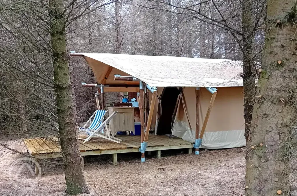 Safari tent