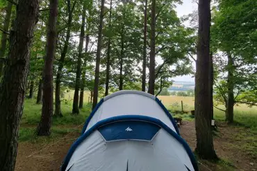 Wild woods camping