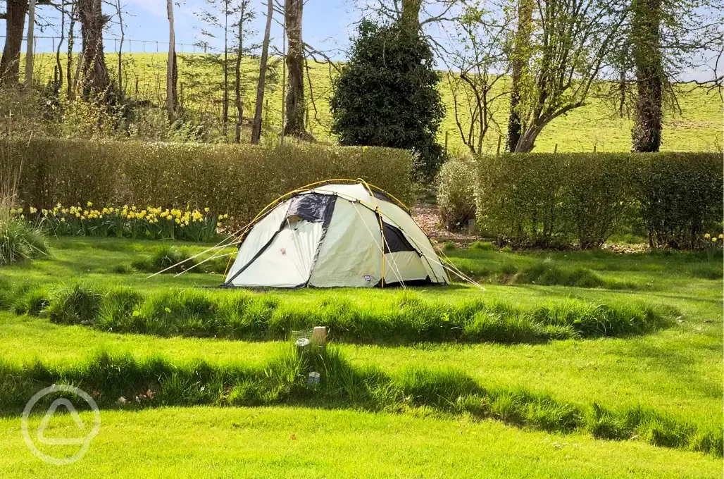 Walled garden pitches