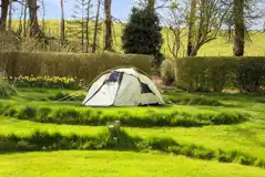Walled garden pitches at Ruberslaw Wild Woods Camping