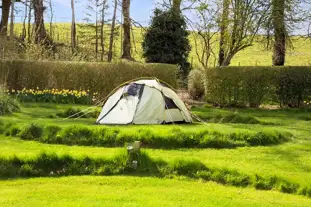 Ruberslaw Wild Woods Camping, Denholm, Hawick, Scottish Borders (15.4 miles)