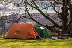 Non electric grass pitches beside a picnic bench